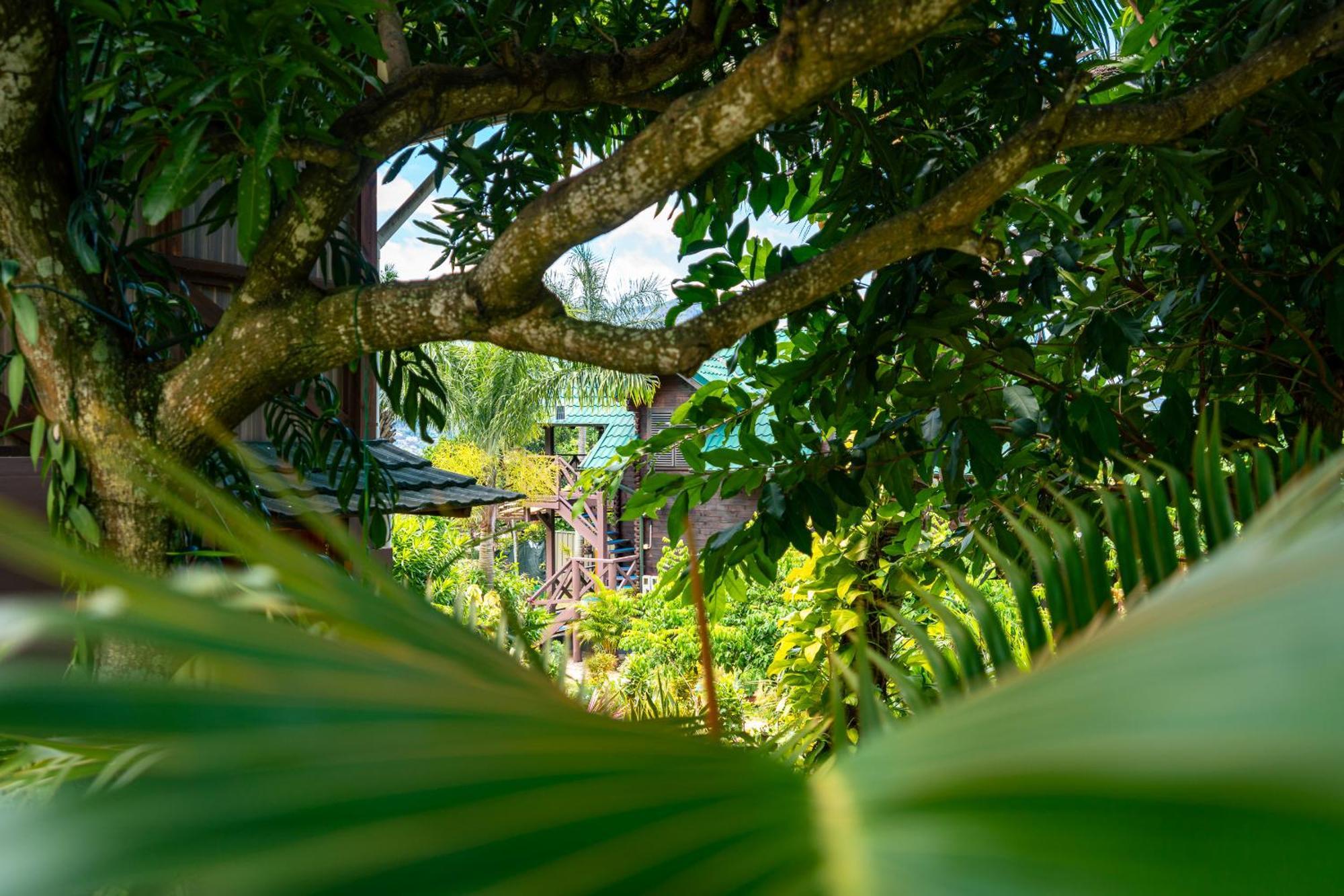 Lemongrass Lodge Бо-Валлон Екстер'єр фото